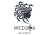 Meduza Agency